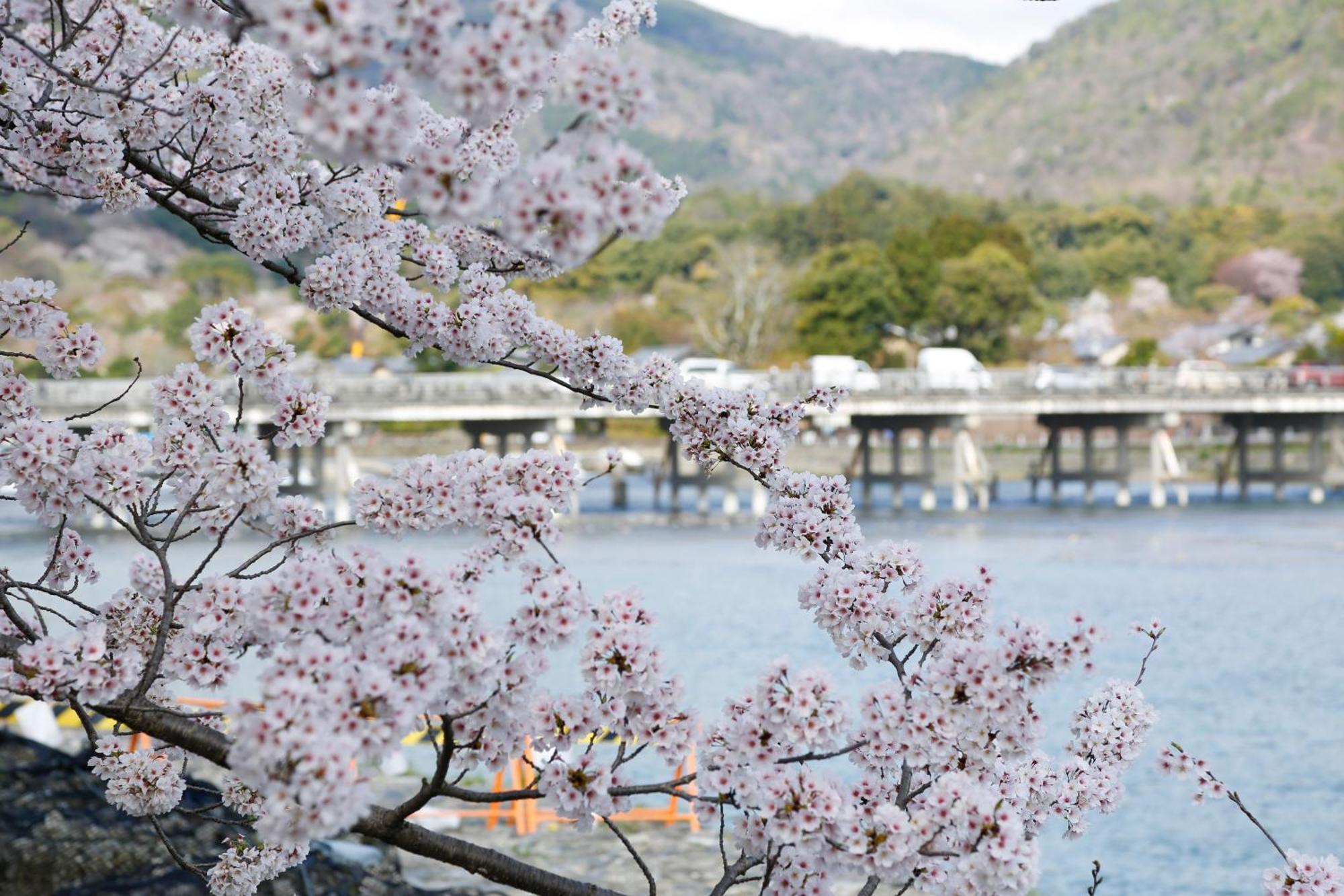 Kyoto Arashiyama Onsen Ryokan Togetsutei Quioto Exterior foto